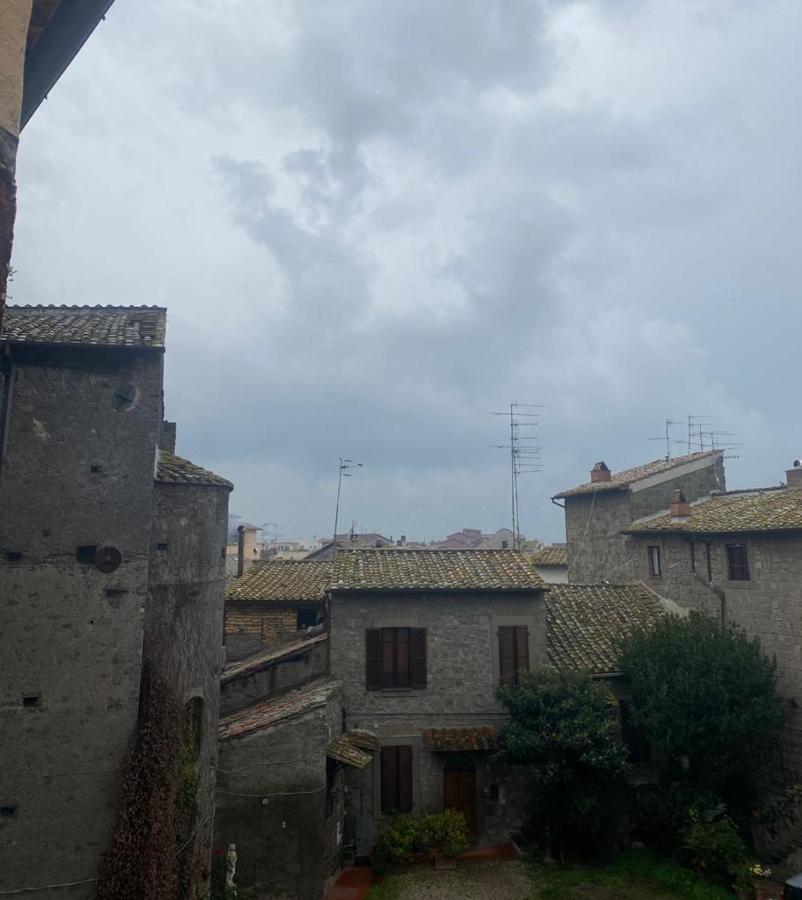L'Albero della Vita Viterbo Esterno foto