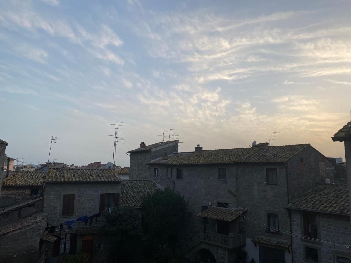 L'Albero della Vita Viterbo Esterno foto