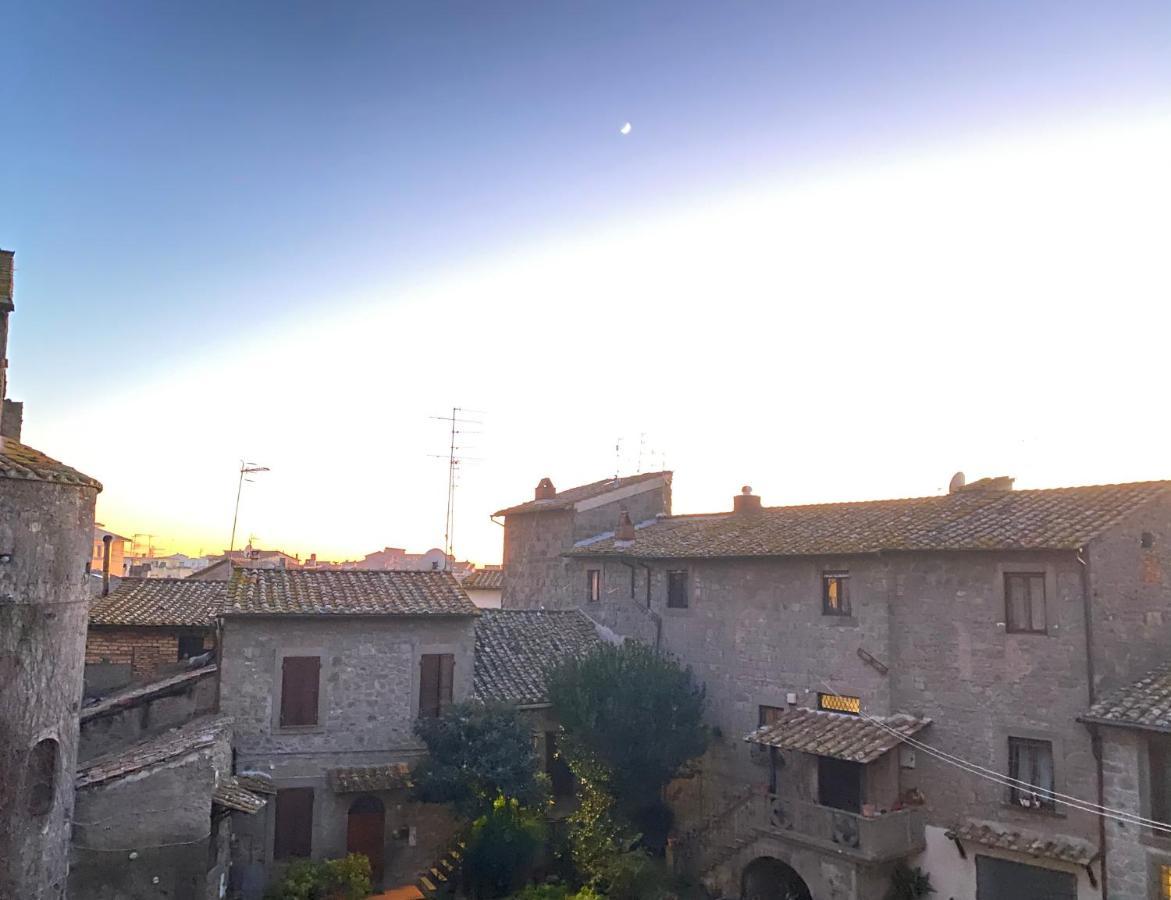 L'Albero della Vita Viterbo Esterno foto