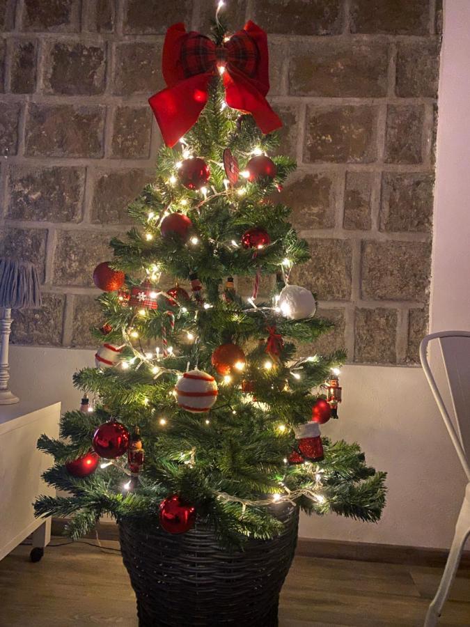 L'Albero della Vita Viterbo Esterno foto